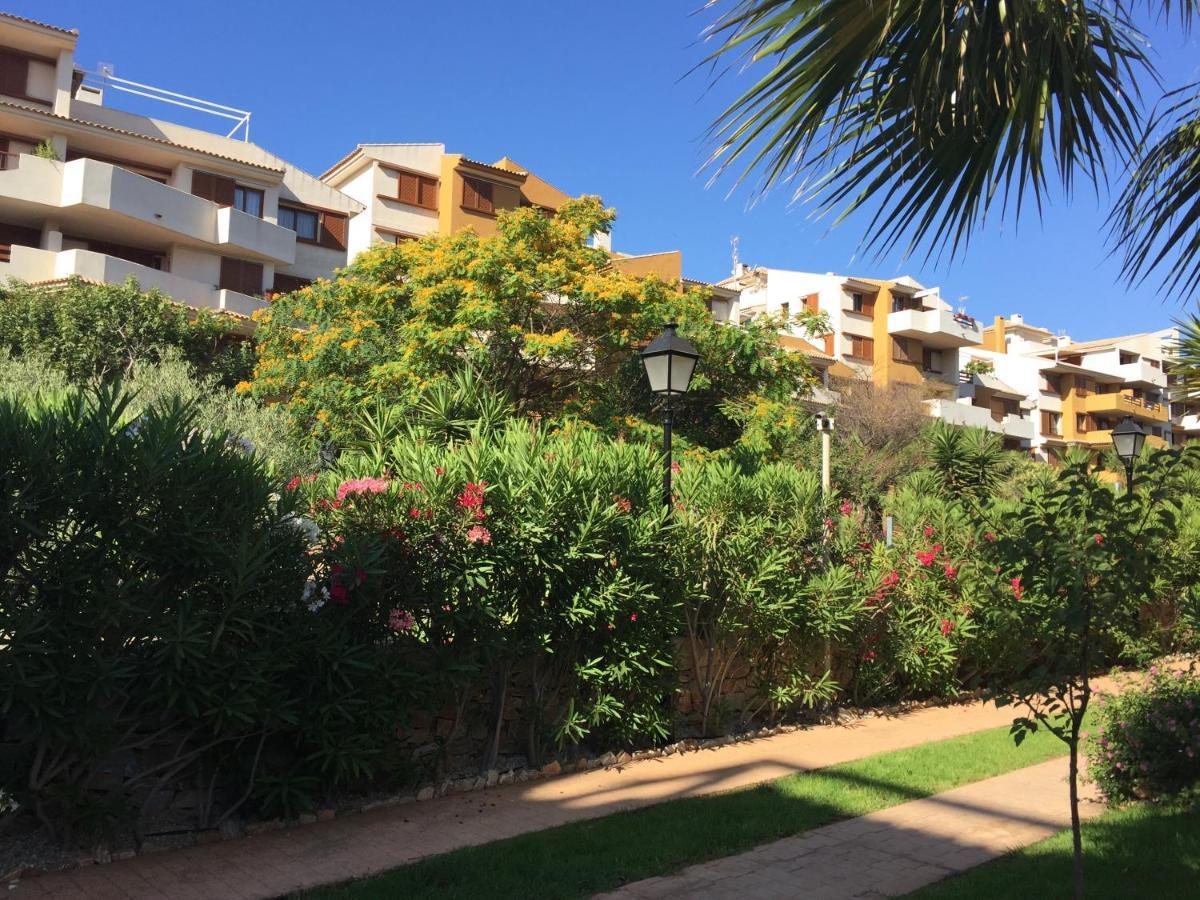 Torrevieja 200M From Sea Punta Prima Apartment Аликанте Екстериор снимка