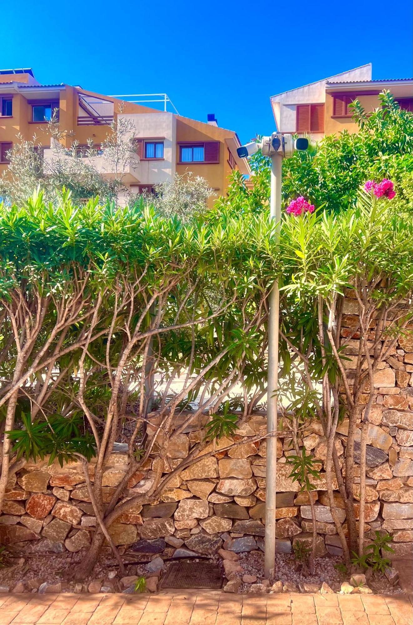 Torrevieja 200M From Sea Punta Prima Apartment Аликанте Екстериор снимка