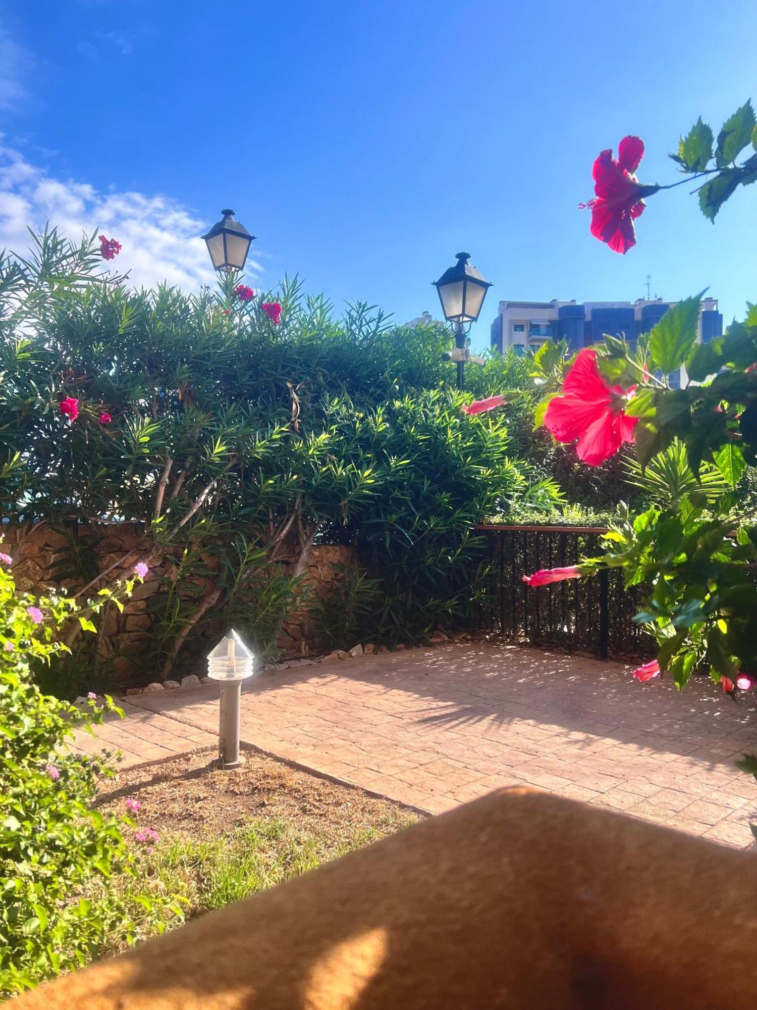 Torrevieja 200M From Sea Punta Prima Apartment Аликанте Екстериор снимка